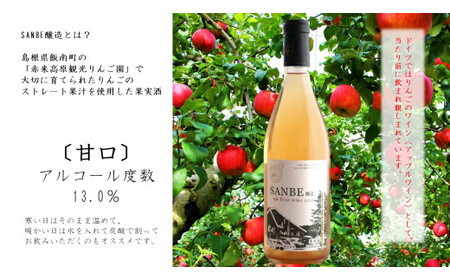 甘口〉りんごのお酒　SANBE醸造2020　【 林檎 りんご 果実酒 720ml 1本 リンゴ ストレート果汁 ワイン わいん フルーティー 贈り物 プレゼント お取り寄せ 御歳暮 Ａ-221 】
