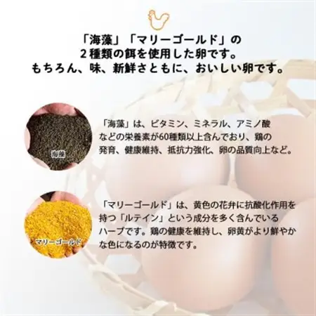【生みたて濃厚】谷川養鶏の赤たまご　50ヶ入り(※サイズ指定できません)_卵・乳製品 卵  たまご タマゴ 玉子_【配送不可地域：離島】【1390290】