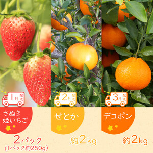 【全12回】坂出市四季のオススメ！旬果実単品定期便♪