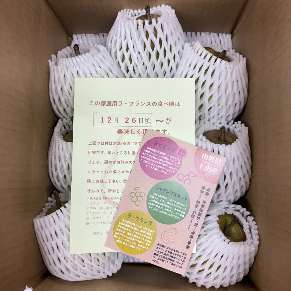 西洋梨（ラ・フランス）３ｋｇ　ご家庭用　0041-2602