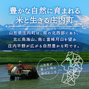もち米 庄内産 でわのもち 1.5kg×1袋 令和7年産 2025年産 国産 単一原料米 山形 庄内平野 コシヒカリの原点、亀の尾発祥の地 庄内 もち 餅