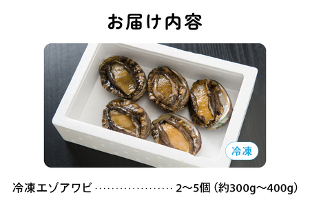 あわび 北海道 天然 蝦夷アワビ 2～5個 産地直送 冷凍 魚貝 貝 殻付 海鮮 海産物 海の幸 魚介 魚介類 刺身 刺し身 お刺身 ステーキ バーベキュー BBQ アワビ 鮑 エゾアワビ 留萌産 留萌 留萌市 R006-008 