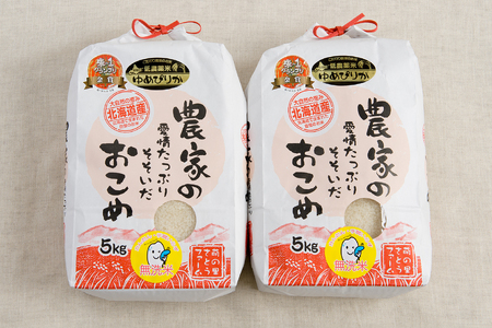 【12ヵ月定期便】北海道南るもい産　ゆめぴりか(無洗米)5kg×2袋 R011-061