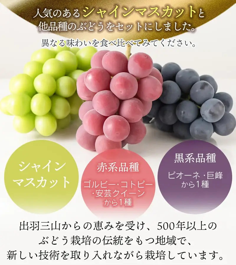 【令和8年産先行予約】大粒ぶどう3種　約2kg　シャインマスカット＋他2品種　丸果庄内青果