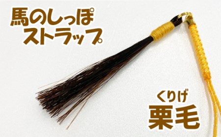 馬のしっぽの毛 ストラップ 3種類 栗毛 鹿毛 芦毛 【馬っこパーク