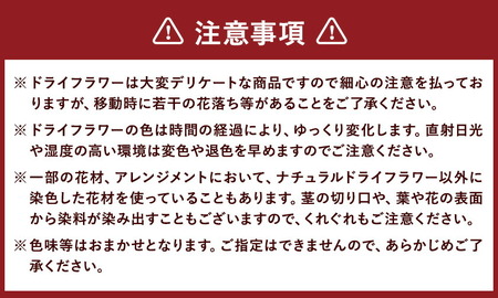 ドライフラワー インテリアアレンジ ナチュラル 7種類12本以上 ドライフラワー アレンジ デザインおまかせ フラワーアレンジ インテリア ラッピング 花 送料無料《90日以内に出荷予定(土日祝除く)》