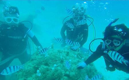 ボートで行く！ファンダイビング（2Dive）｜ダイビングレッスン ダイビングチケット ダイビング体験 沖縄ダイビング