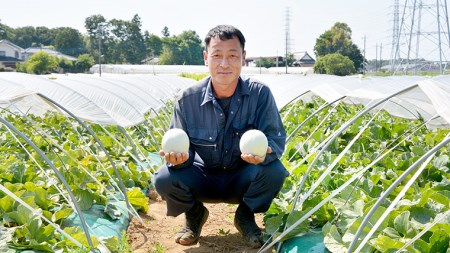 メロン プリンスメロン 1箱 約5kg  7～8玉 八千代町産 先行予約