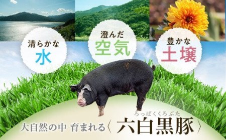【A02043】特選黒豚 肩・とんかつセット！黒豚餃子(12個入)×1P付き！ 鹿児島 国産 九州産 黒豚 豚肉 お肉 ロース 肩ロース 餃子 ぎょうざ トンカツ しゃぶしゃぶ すきやき おかず 惣菜【和田養豚】
