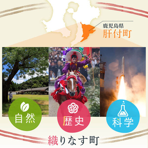 【A02046】黒豚餃子セット(12個入×10パック) 鹿児島 国産 九州産 黒豚 黒ぶた 豚肉 冷凍 餃子 ギョーザ ぎょうざ おかず 惣菜【和田養豚】