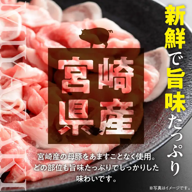 豚肉 切り落とし 豚肉[宮崎県産 ミンチ セット 3kg 500g×6P]
