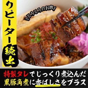 ＜入金確認後、2週間以内に発送！＞グランプリ受賞！鹿児島県産 使用 黒豚 三昧丼セット(5食入) a4-041-2w
