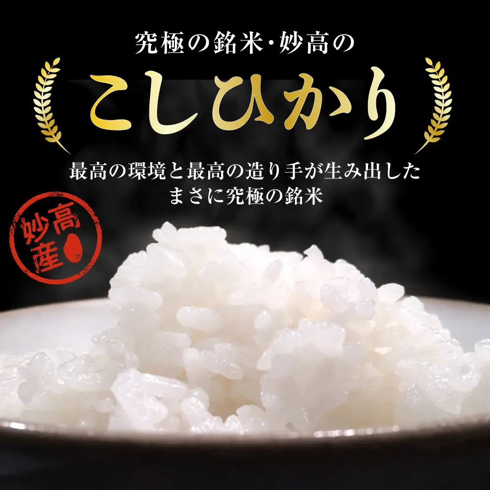 【定期便】【2026年7月下旬より発送】新潟県妙高産コシヒカリ20kg2回計40kg