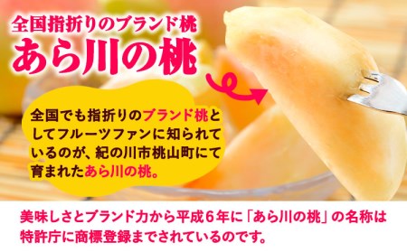 【先行予約】あら川の桃約2kg(6-8玉) あら川第一桃生産組合《2026年6月下旬から8月下旬頃出荷》｜桃 もも モモ フルーツ 果物 白鳳 清水白桃 川中島白桃  和歌山県産の桃 紀の川市の桃 和歌山の桃