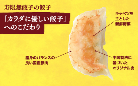宇都宮餃子 寿限無 餃子20個入り×2箱　※離島への配送不可