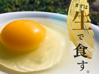 【３か月定期便】種子島 夢まるガーデン 平飼い 産み立て たまご 60個 ×３回分　NFN477 【1500pt】