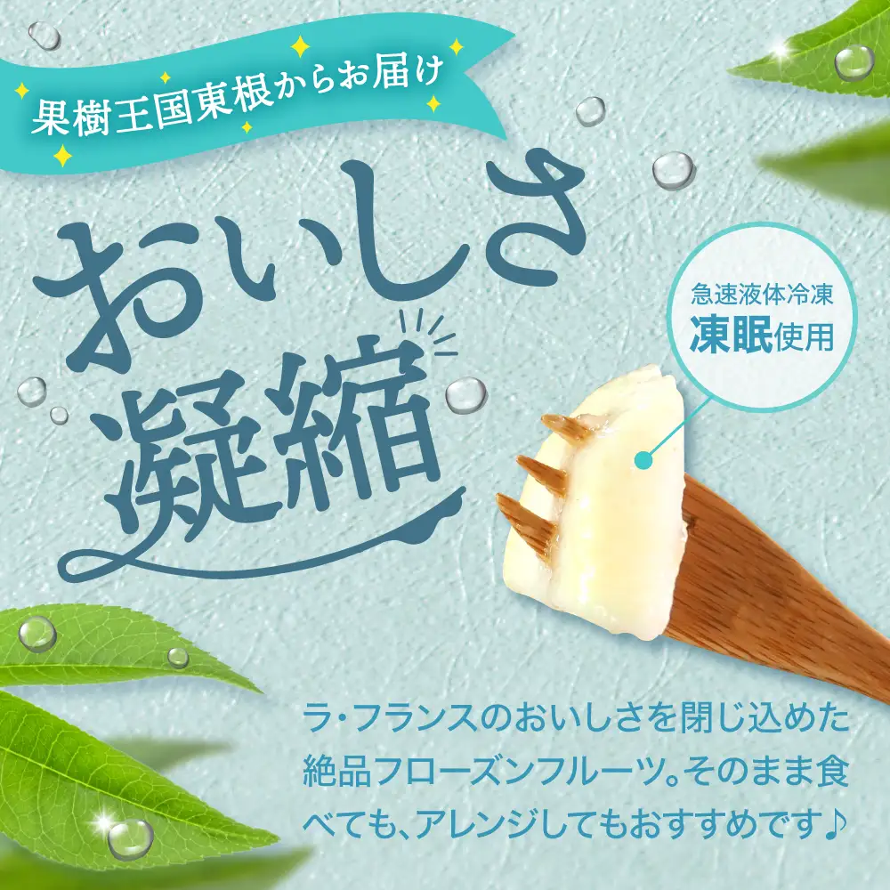 【急速冷凍】東根産カット済みラフランス500g×2袋 冷凍 ラフランス