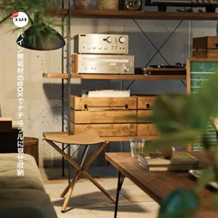 Ines Box S (イネスボックス) 【SWOF】_雑貨・日用品  家具・インテリア _【1392859】
