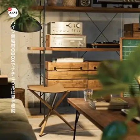 Ines Box L (イネスボックス) 【SWOF】_雑貨・日用品  家具・インテリア _【1392860】