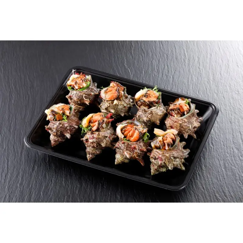 京丹後産さざえの刺身！サザエのお造り