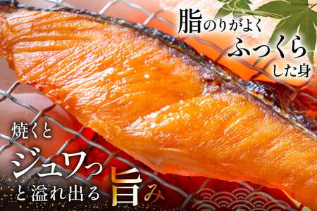 訳あり 銀鮭切身 約3kg [宮城県 気仙沼市 20564992] サケ しゃけ 魚 鮭