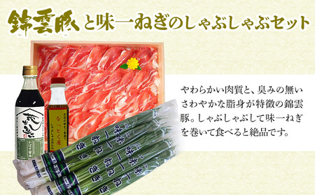 錦雲豚 味一ねぎ しゃぶしゃぶ セット 豚バラ肉・ロース肉(800g) | お肉 肉 豚 豚肉 小ねぎ 万能ねぎ 青ねぎ かぼすポン酢しょうゆ 詰め合わせ 九州産 国産 大分県 中津市