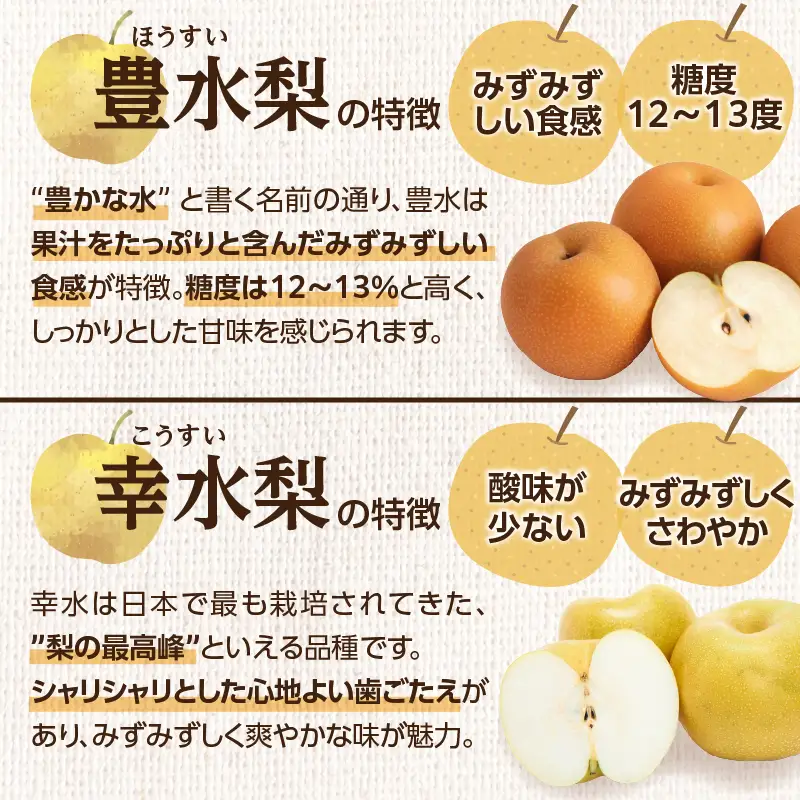福岡人気のフルーツ定期便【全4回】ふるさと納税で人気のフルーツお届け便　JAふくおか八女からお届け！！ 梨 豊水 幸水 シャインマスカット みかん ミカン あまおう いちご 苺 イチゴ フルーツ 果物 くだもの 人気 旬 高糖度 甘い 福岡県産 アフター補償 数量限定 期間限定 産地直送 全4回 定期便 福岡県 八女市 002-T003
