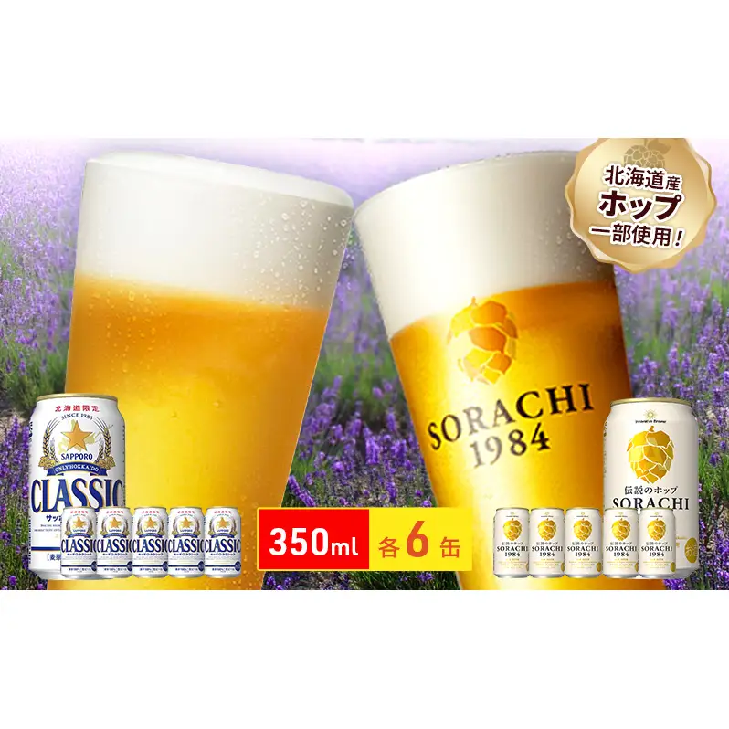 ビールの味くらべ！SORACHI VS クラシック 各350ml×6缶（合計12缶）缶ビール 飲み比べ お酒 酒 生ビール 飲み物 ギフト プレゼント お土産 贈答用 家飲み 晩酌 パーティー 缶ビールセット 上富良野町 北海道