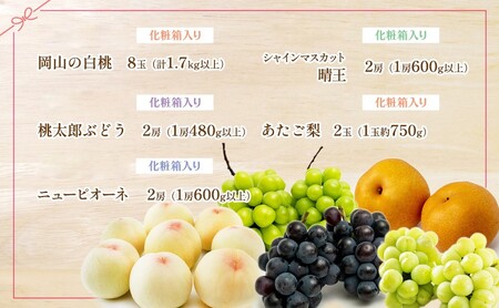 フルーツ 定期便 2026年 先行予約 フルーツ王国 岡山を堪能 5回コース 桃 もも 葡萄 ぶどう 梨 なし岡山県産 国産 果物 セット ギフト 柔らかい マスカット 甘い 酸味 高級 香り 風味 
