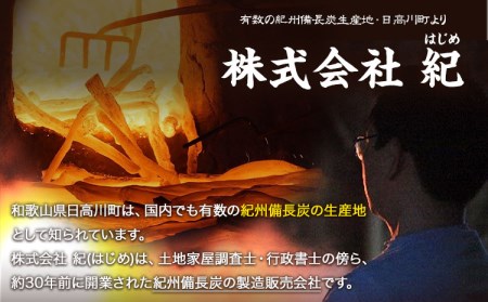 備長炭の木酢液 1000ml×10本 炭 園芸 消臭