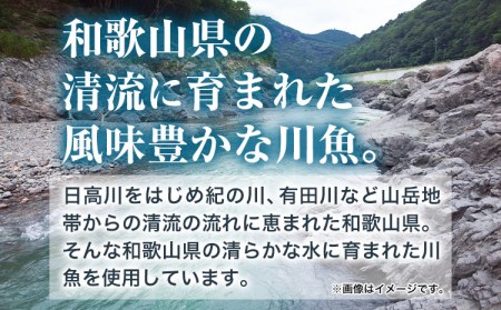 「旨いはずです。」特選あゆ一夜干しセット 13枚  干物