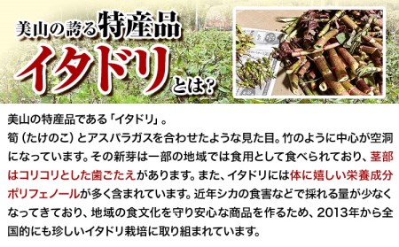 ～美山の贅シリーズ～ イタドリ３品詰め合わせ