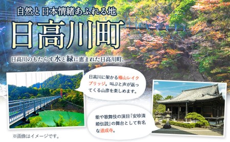 日高川町内の観光施設で利用できる「利用券」15000円(500円券×30枚) 観光