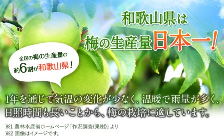 ねりうめ酒 完熟梅酒 飲み比べセット 720ml×2本