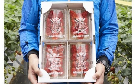 【先行予約】マツダファームの完熟いちご【紅ほっぺ200g×4pc(800g)】2022年12月～RT821