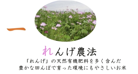 しあわせのれんげっ娘 10kg (精米)｜ヒノヒカリ [1200]