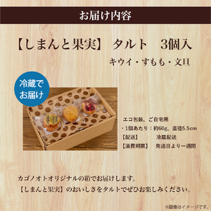 【しまんと果実】エコ包装 タルト 3個入（キウイ・すもも・文旦） Ikg-Z97／ タルト たると お取り寄せ グルメ スイーツ お菓子 デザート 焼き菓子 焼菓子 カゴノオト