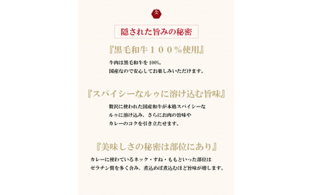 カレー レトルト 10個入り イイジマ和牛カレー 10個入り 化粧箱 国産牛 黒毛和牛 父の日 お取り寄せ お祝い 内祝い 出産 結婚 快気祝いプレゼント 誕生日 ギフト対応  茨城県 水戸市 肉のイイジマ（DU-81）