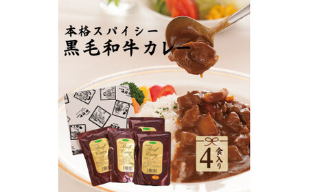 イイジマ和牛カレー 4個入り レトルト ビーフカレー 4食入り 肉のイイジマ（DU-83）