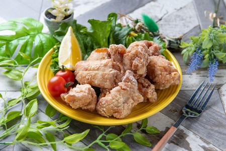 中津からあげ イロトリドリ 彩鶏々 骨なしミックス 1kg | お肉 肉 鶏 鶏肉 骨なし ミックス 家庭調理 中津からあげ 唐揚げ からあげ から揚げ お弁当 弁当 おかず お惣菜 惣菜 おつまみ 大分県 中津市