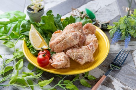 中津からあげ イロトリドリ 彩鶏々 骨なし むね肉 1kg | お肉 肉 鶏 鶏肉 鶏むね肉 家庭調理 中津からあげ 唐揚げ からあげ から揚げ お弁当 弁当 おかず お惣菜 惣菜 おつまみ 大分県 中津市