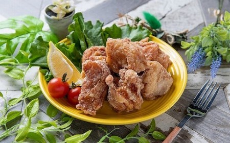 中津からあげ イロトリドリ 彩鶏々 骨なし もも肉 500g ・ 金賞 せせり 500g | お肉 肉 鶏 鶏肉 鶏もも肉 鶏モモ肉 せせり セット 家庭調理 中津からあげ 唐揚げ からあげ から揚げ お弁当 弁当 おかず お惣菜 惣菜 おつまみ 大分県 中津市
