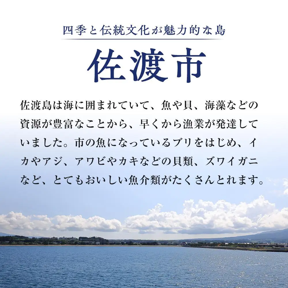 干物イカ 佐渡産 4枚 ( 1袋2枚 × 2 ) イカ