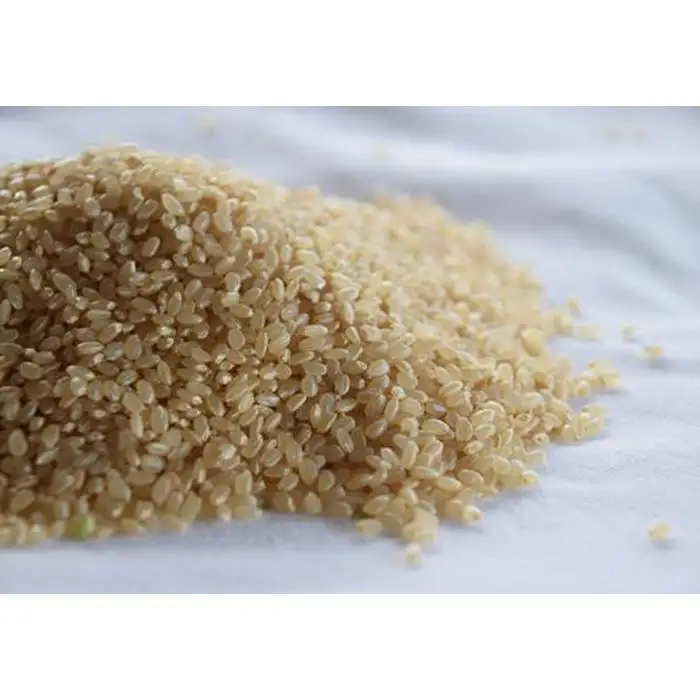 自社栽培米佐渡産こしひかり（玄米10kg）6カ月定期便