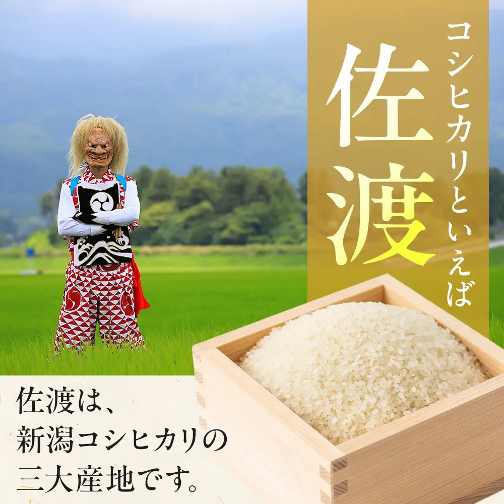 新潟米物語佐渡産コシヒカリ（10kg（5kg×2））