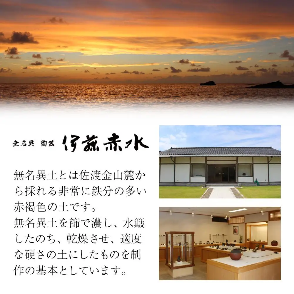 伊藤赤水　無名異窯変酒盌