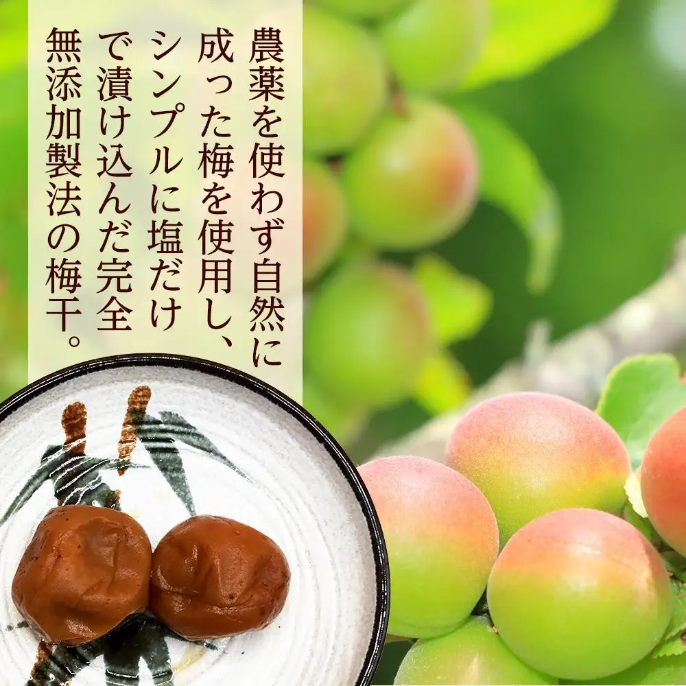昔ながらの塩っぱい梅干　10パック