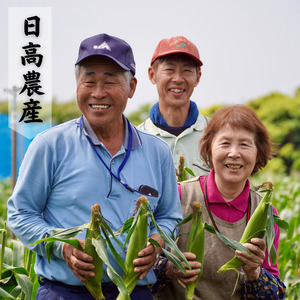  【 6月 限定 】 種子島 産 朝どれ とうもろこし (30～36本)　NFN320【550pt】 