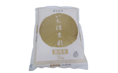 無洗米 いちほまれ2kg（令和7年産）福井の新ブランド米 お米 白米 精米 名作 粒感 粘り 絶妙 優しい 甘さ