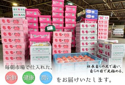 【2026年6月下旬より発送】  桃 特秀品 約4kg 12～16玉 桃 もも